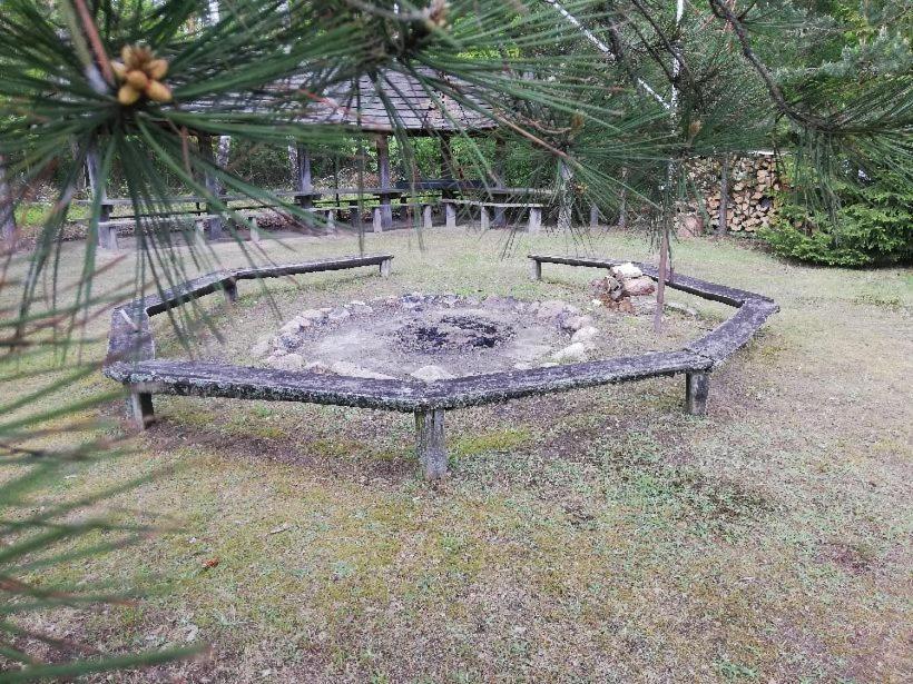 Agroturystyka "Lesne Zacisze Na Podlasiu" Tuczna Esterno foto